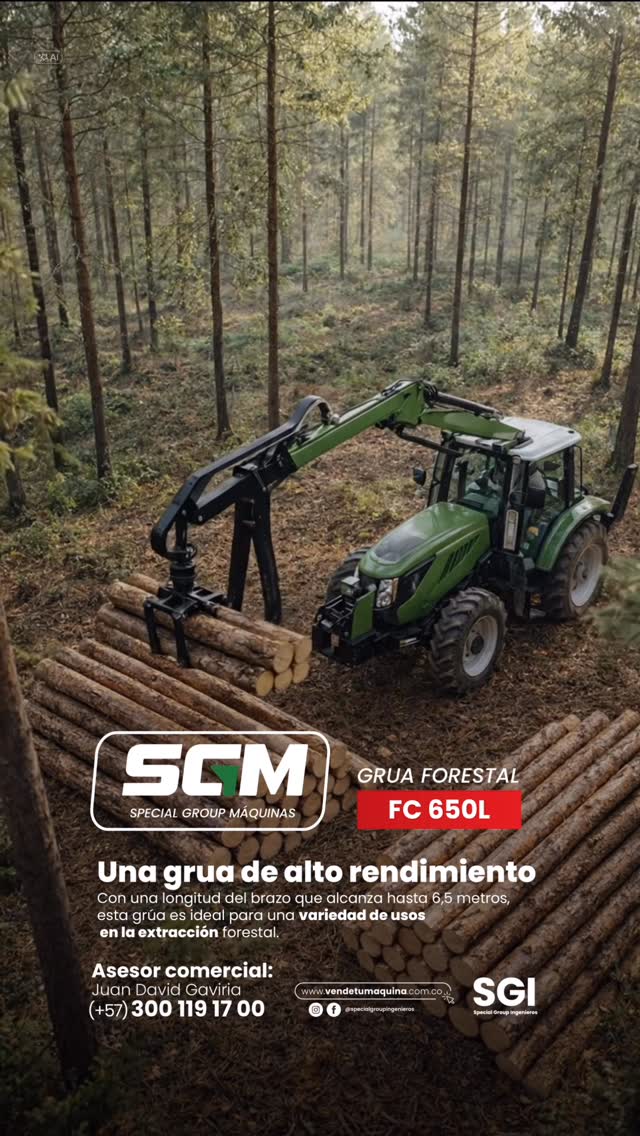 Grúa Forestal SGI